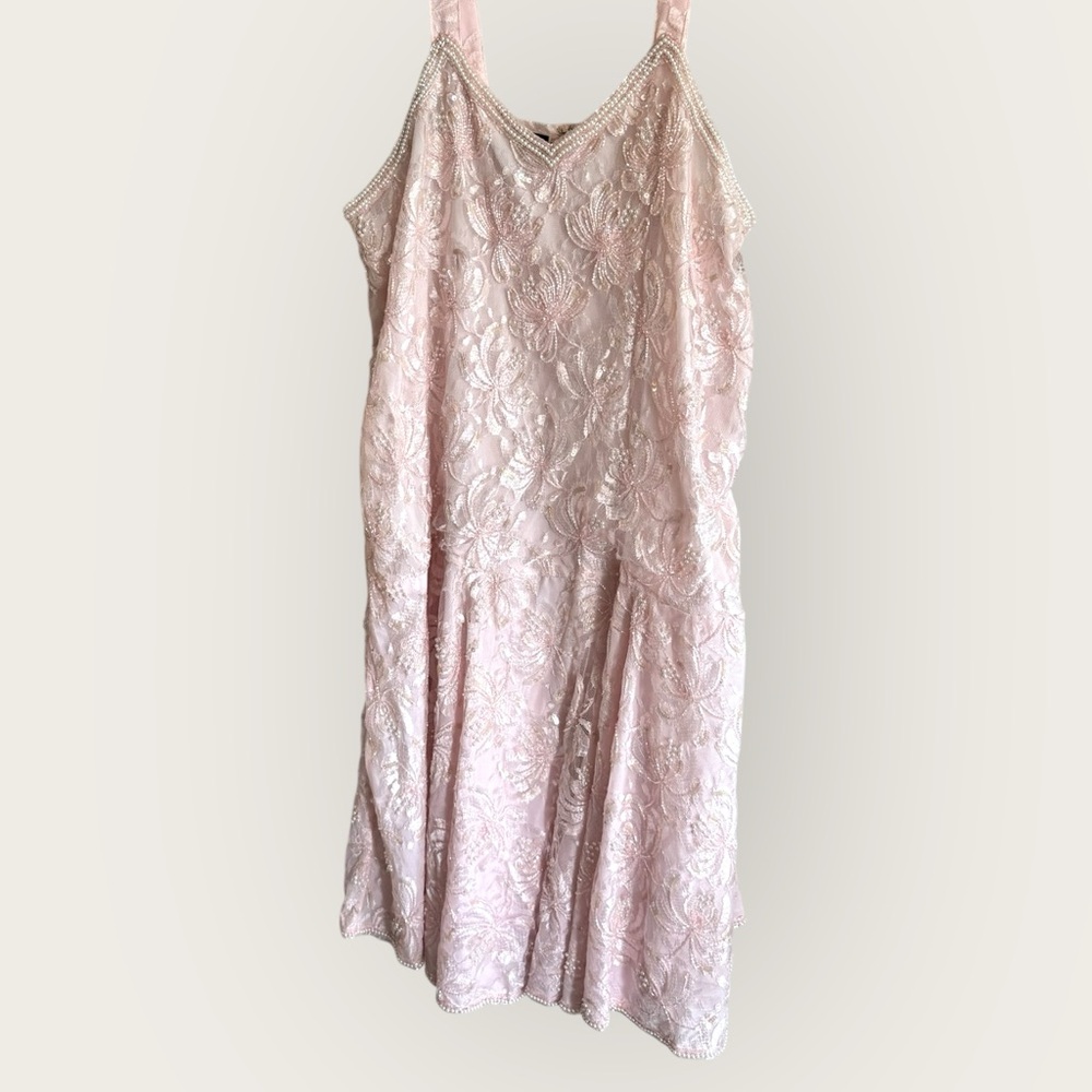 Vintage Drop Waist Pink Lace and Sequin Dress
